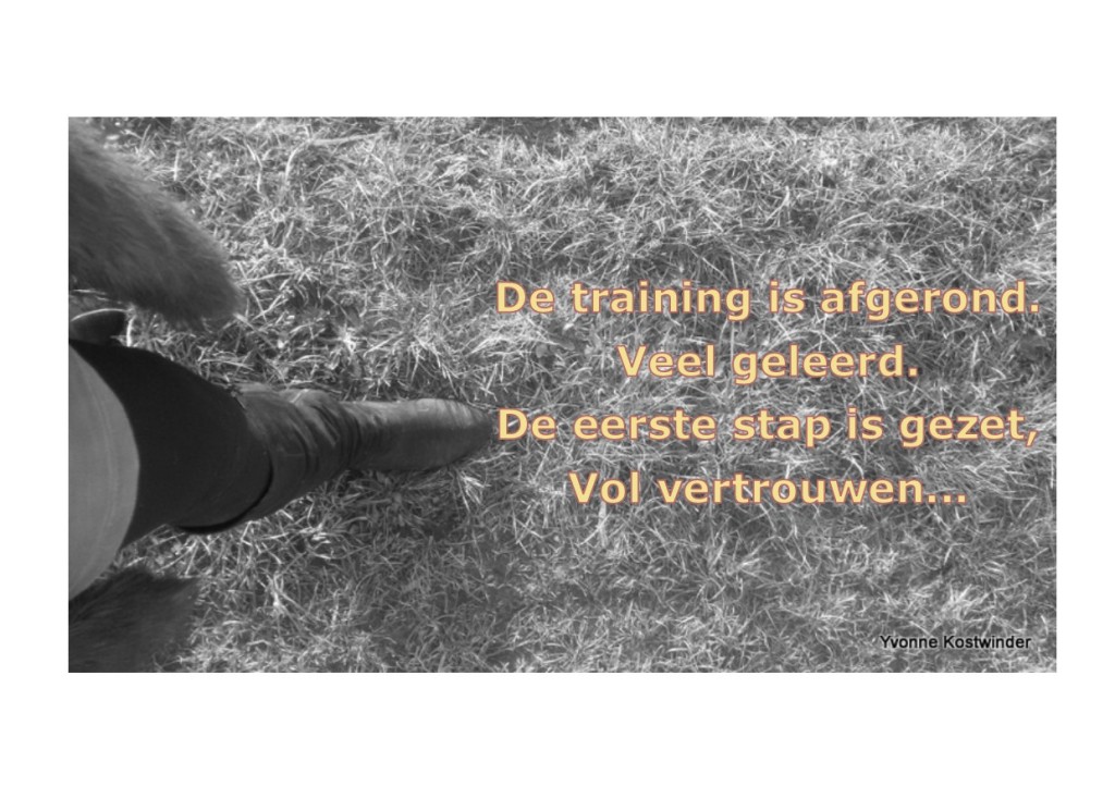 Eerste stap is gezet